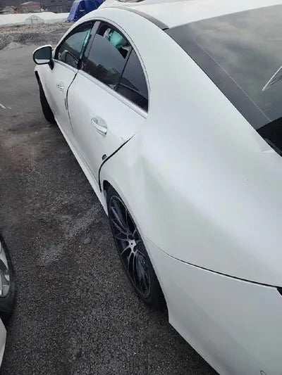 2019 Mercedes-Benz CLS 450 VIN: