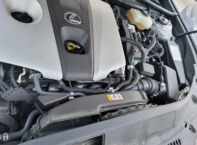 2019 Lexus ES 300 JTHB21B19K2044325 VIN:JTHB21B19K2044325