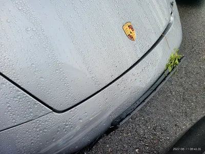 2022 Porsche 911 VIN: