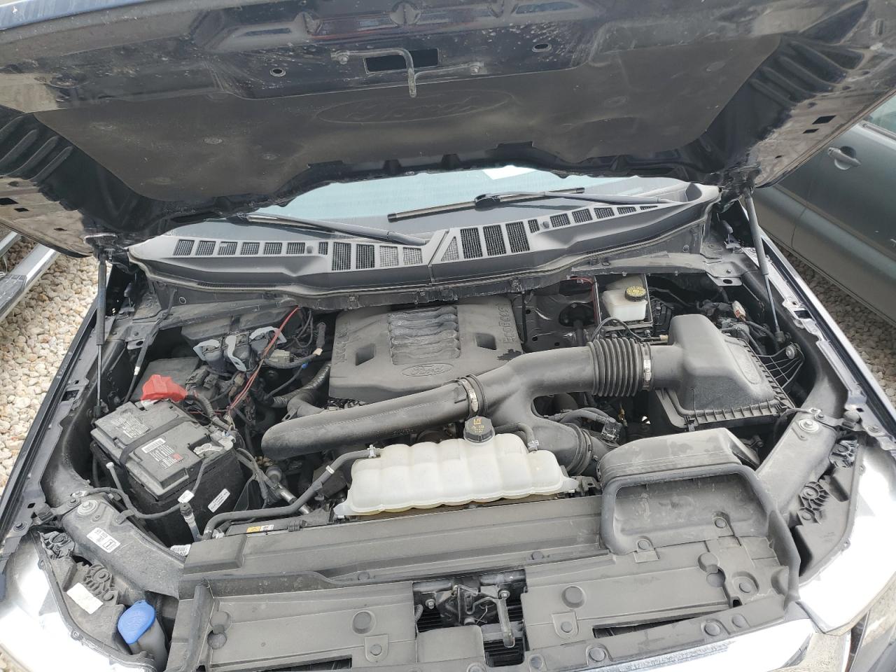 2023 FORD F150 SUPERCREW VIN:1FTFW1E89PFD18610