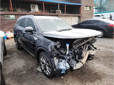 2021 Kia Sorento KNARF81BGMA013546 VIN:KNARF81BGMA013546