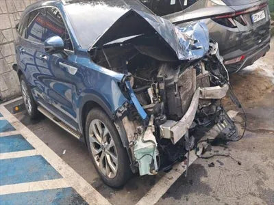 2021 Kia Sorento KNARH81BGMA062553 VIN:KNARH81BGMA062553