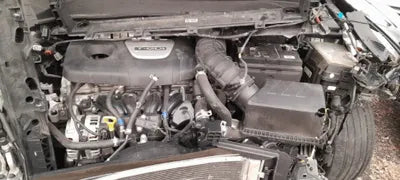 2019 Hyundai Kona 202KMKMHK7815GKU4 VIN:202KMKMHK7815GKU4