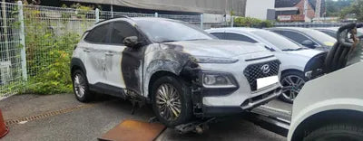 2019 Hyundai Kona KMHK4815GLU509960 VIN:KMHK4815GLU509960