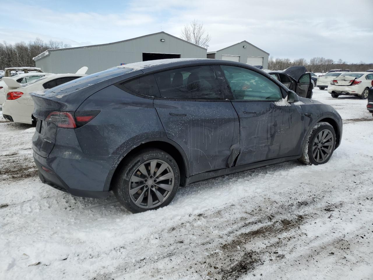 2023 TESLA MODEL Y  VIN:7SAYGDEE0PF597059