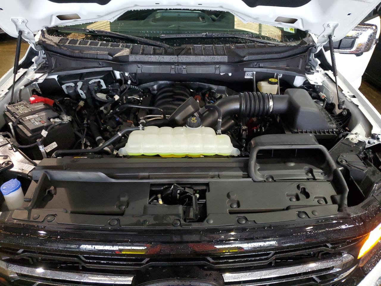 2024 FORD F150 XLT VIN:1FTEW3K50RKE86261