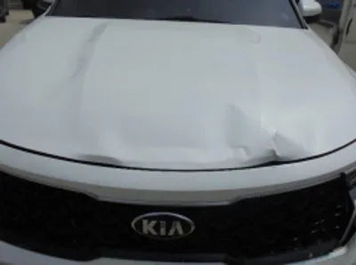 2021 Kia Sorento KNARL81BGMA079110 VIN:KNARL81BGMA079110