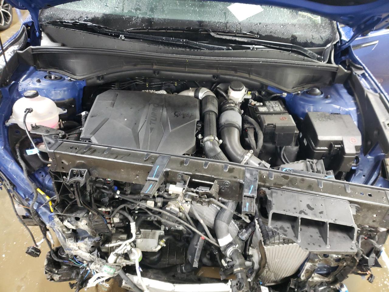 2023 KIA SORENTO SX VIN:5XYRKDLF3PG207723