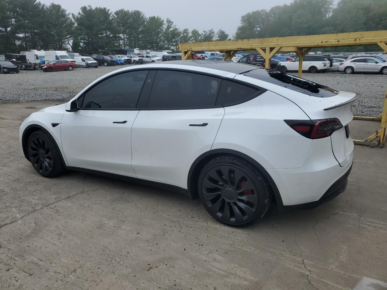 2023 TESLA MODEL Y  VIN:7SAYGDEF3PF806514