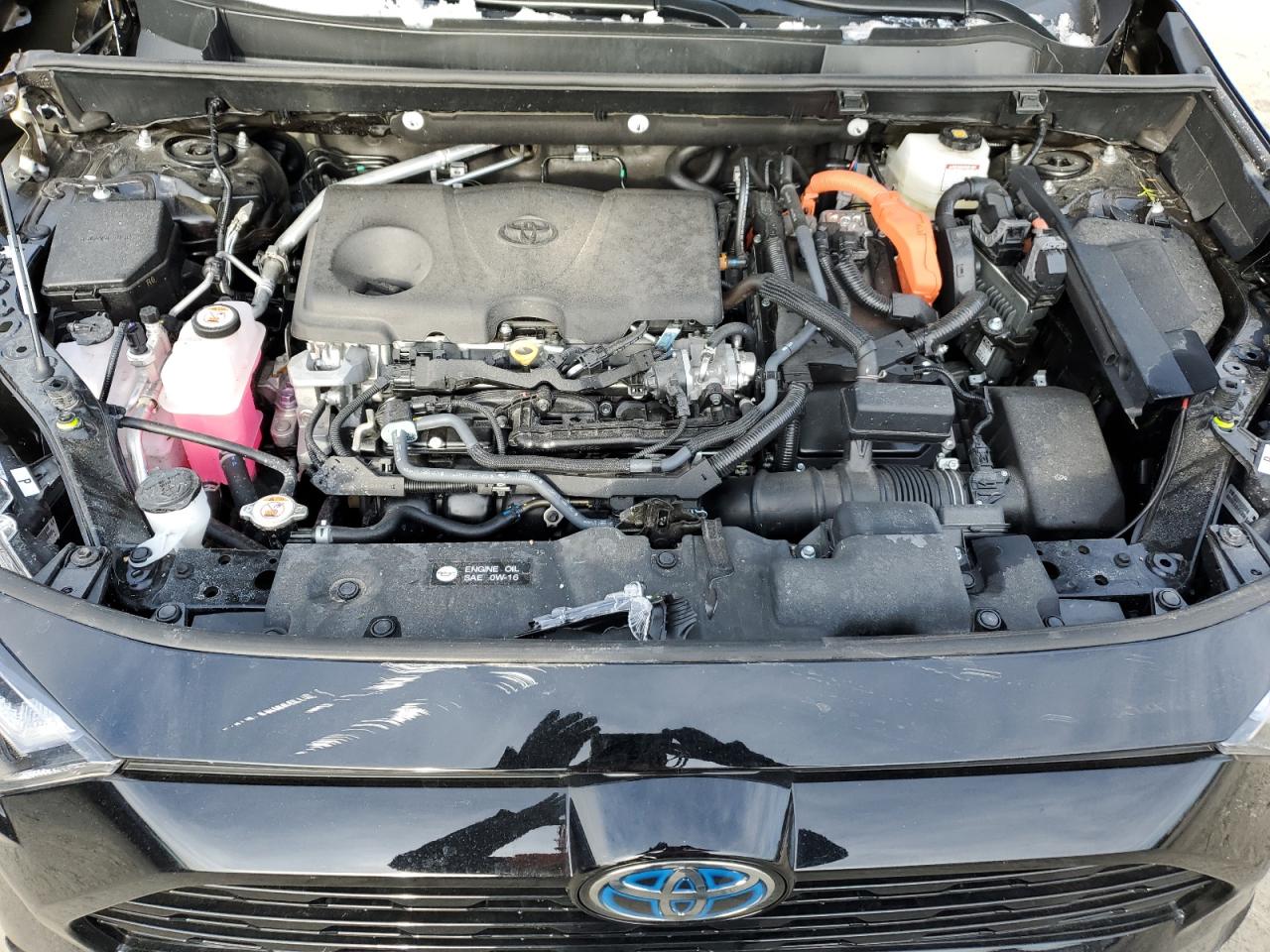 2024 TOYOTA RAV4 SE VIN:2T3T6RFVXRW078751