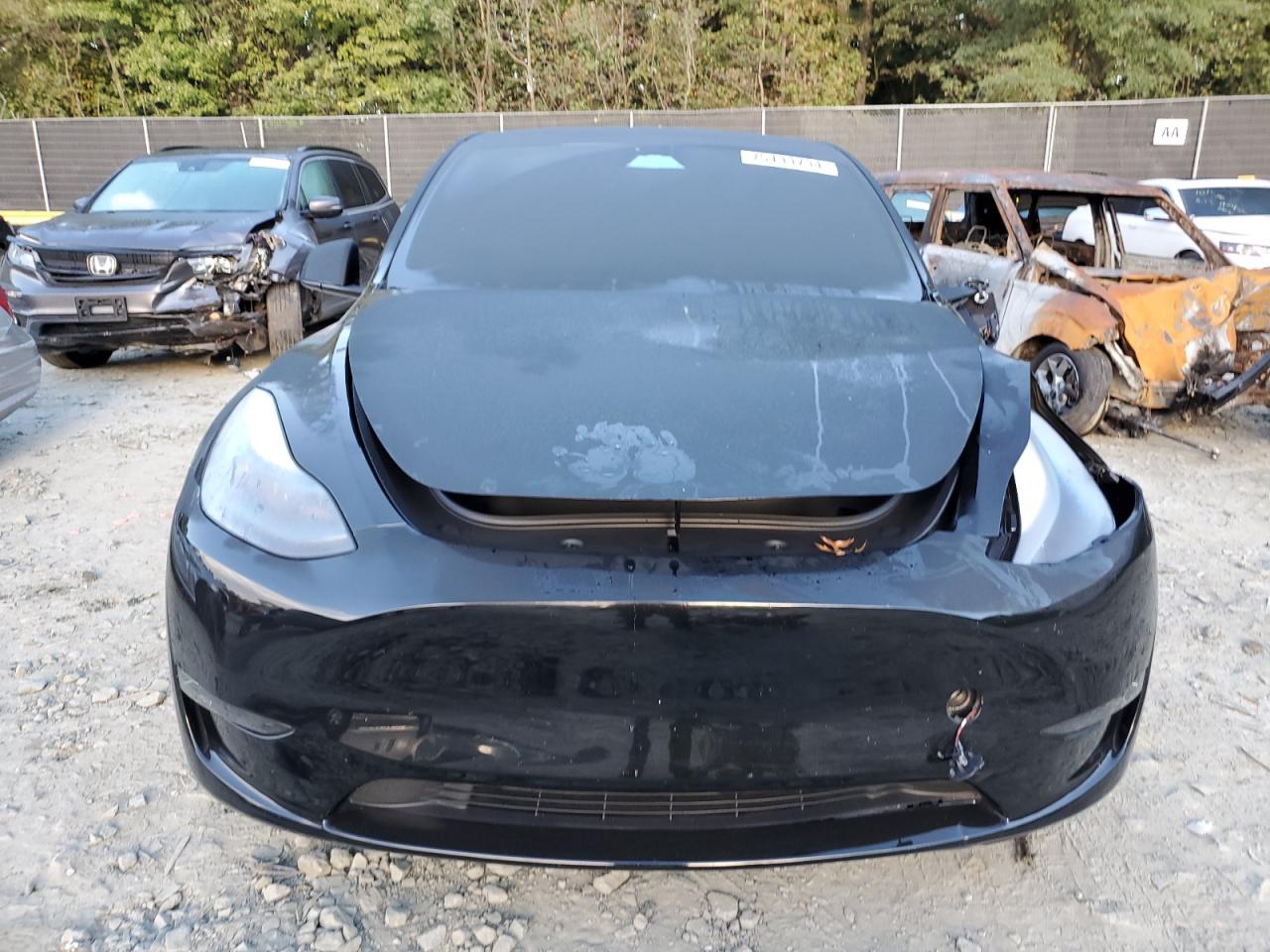 2023 TESLA MODEL Y  VIN:7SAYGDEF8PF893245