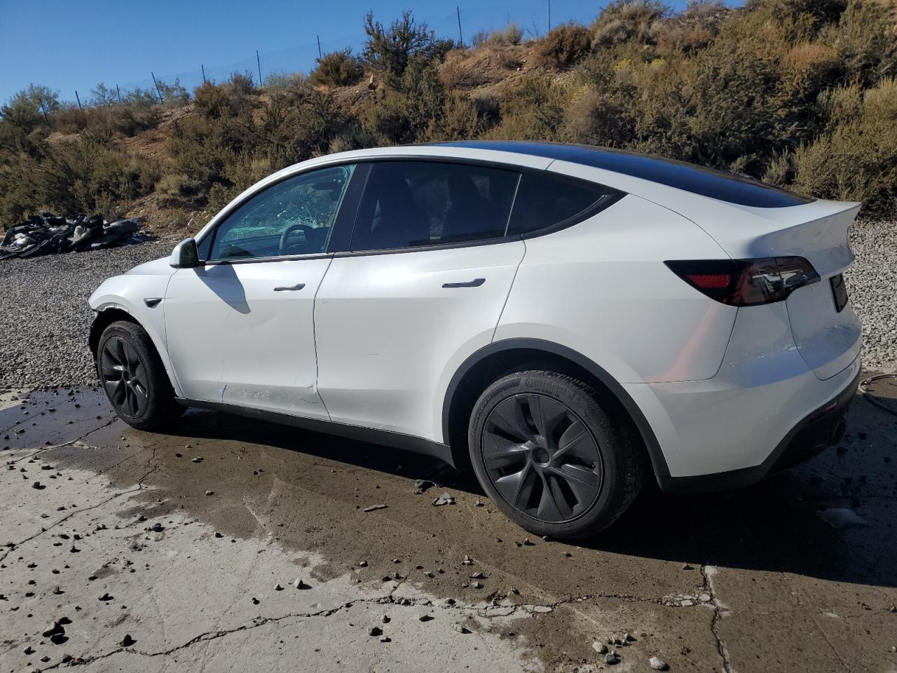 2024 TESLA MODEL Y  VIN:7SAYGDEE2RF153619