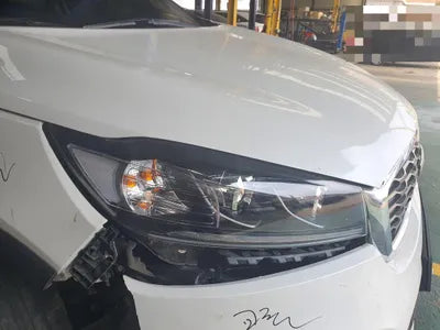 2019 Kia Sorento KNAPG81ADLA634591 VIN:KNAPG81ADLA634591