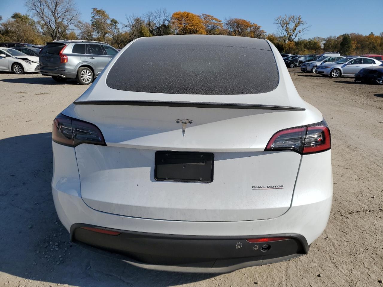 2024 TESLA MODEL Y  VIN:7SAYGDEF5RA274117