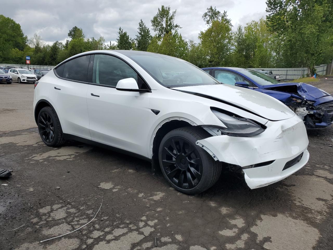 2024 TESLA MODEL Y  VIN:7SAYGAEE6RF985642