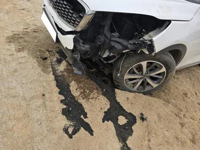 2019 Kia Sorento KNAPG81BDKA540068 VIN:KNAPG81BDKA540068