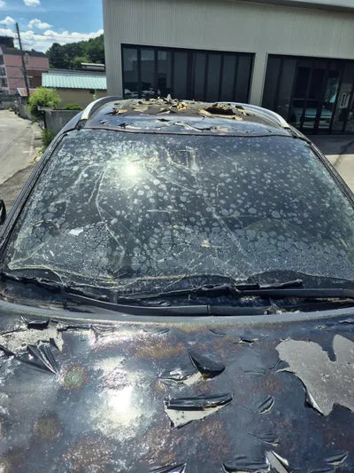 2017 Kia Sorento KNAPS81BBJA419260 VIN:KNAPS81BBJA419260