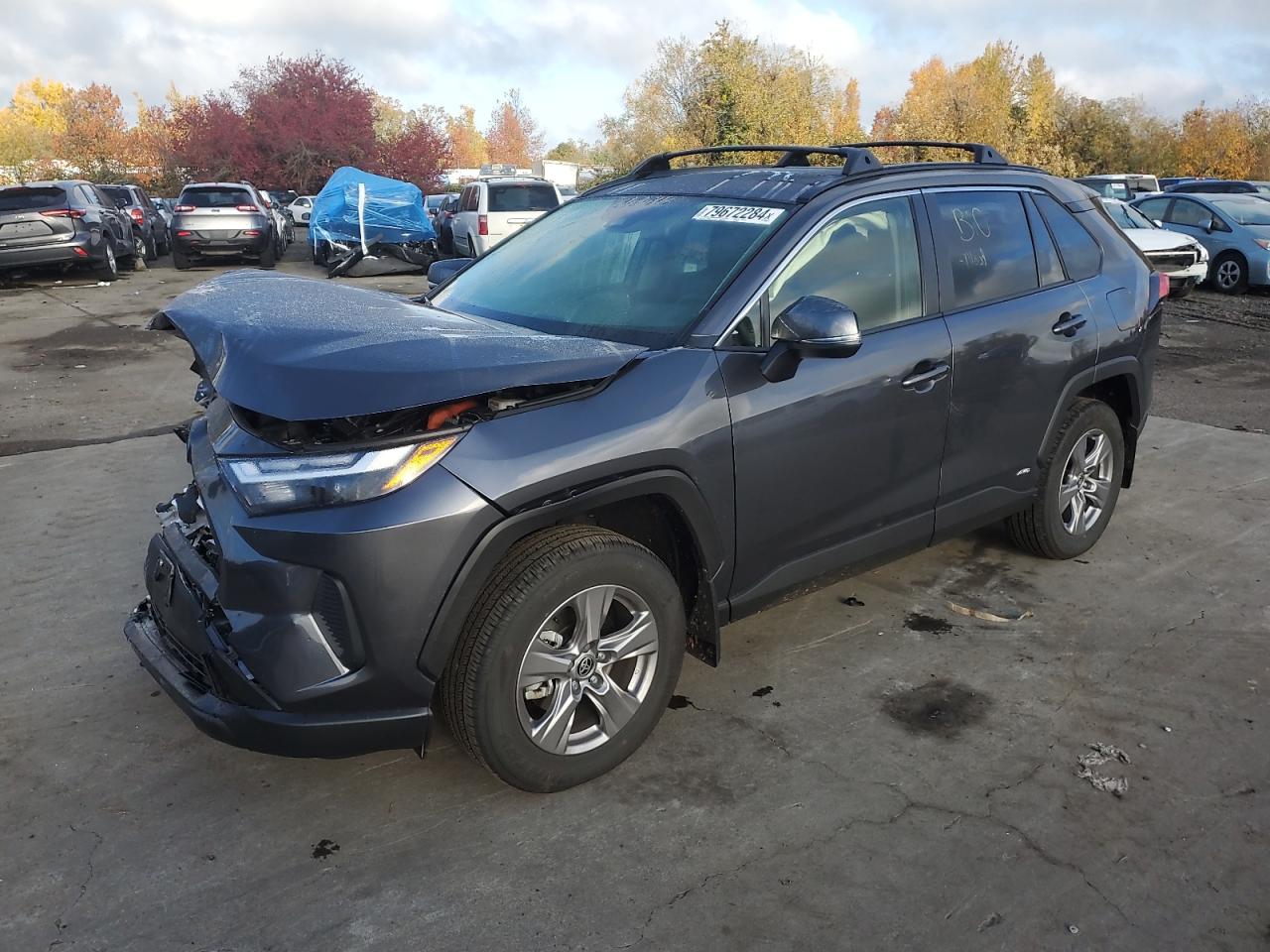 2024 TOYOTA RAV4 XLE VIN:JTMRWRFV9RD248069