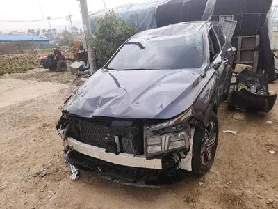 2020 Hyundai Santa FE KMHS281BBLU199802 VIN:KMHS281BBLU199802