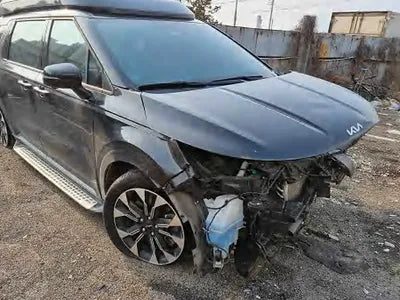 2022 Kia Carnival KNANE81BBNS134421 VIN:KNANE81BBNS134421