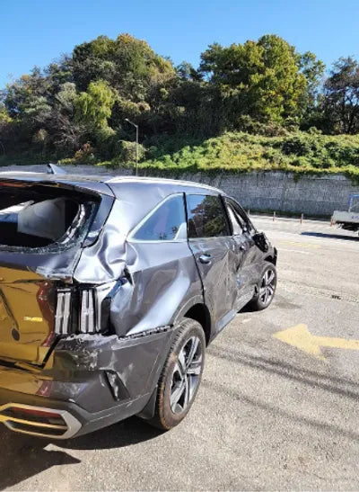 2021 Kia Sorento KNARK81GBMA014905 VIN:KNARK81GBMA014905