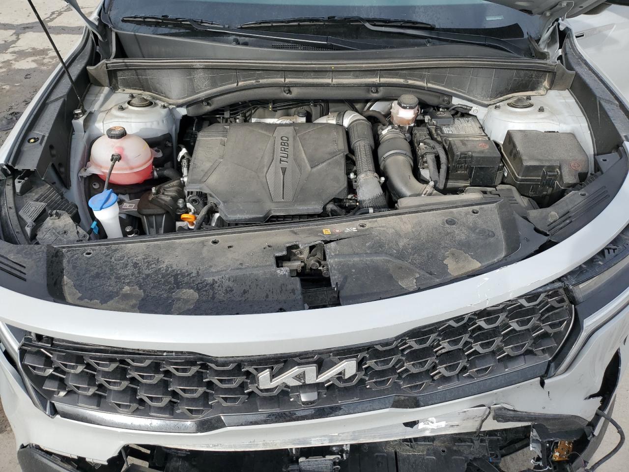 2022 KIA SORENTO SX VIN:5XYRKDLF7NG149435