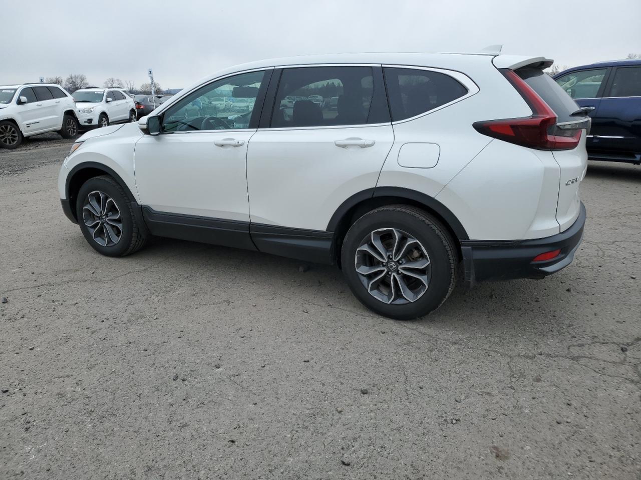 2022 HONDA CR-V EXL VIN:2HKRW2H89NH659622