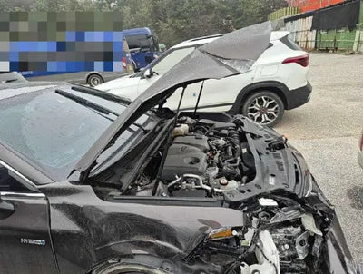 2019 Toyota Avalon VIN: