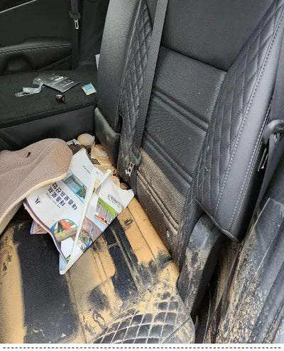 2020 Kia Sorento KNAPH81BDLA596979 VIN:KNAPH81BDLA596979