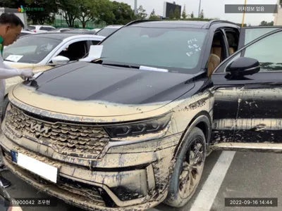 2022 Kia Sorento KNARJ81FGNA147798 VIN:KNARJ81FGNA147798