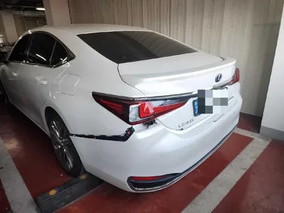 2020 Lexus ES 300 JTHB21B19L2100099 VIN:JTHB21B19L2100099