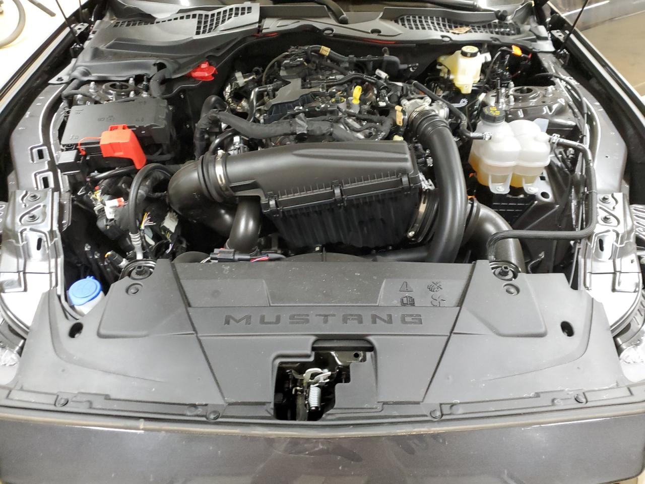 2024 FORD MUSTANG  VIN:4T1BK1EB8GU212551
