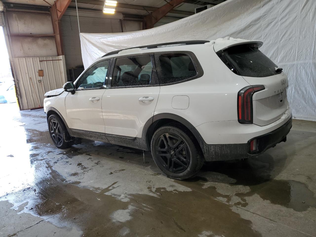 2024 KIA TELLURIDE SX VIN:5XYP5DGC3RG483384