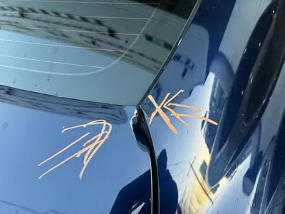 2019 Lexus ES 300 VIN: