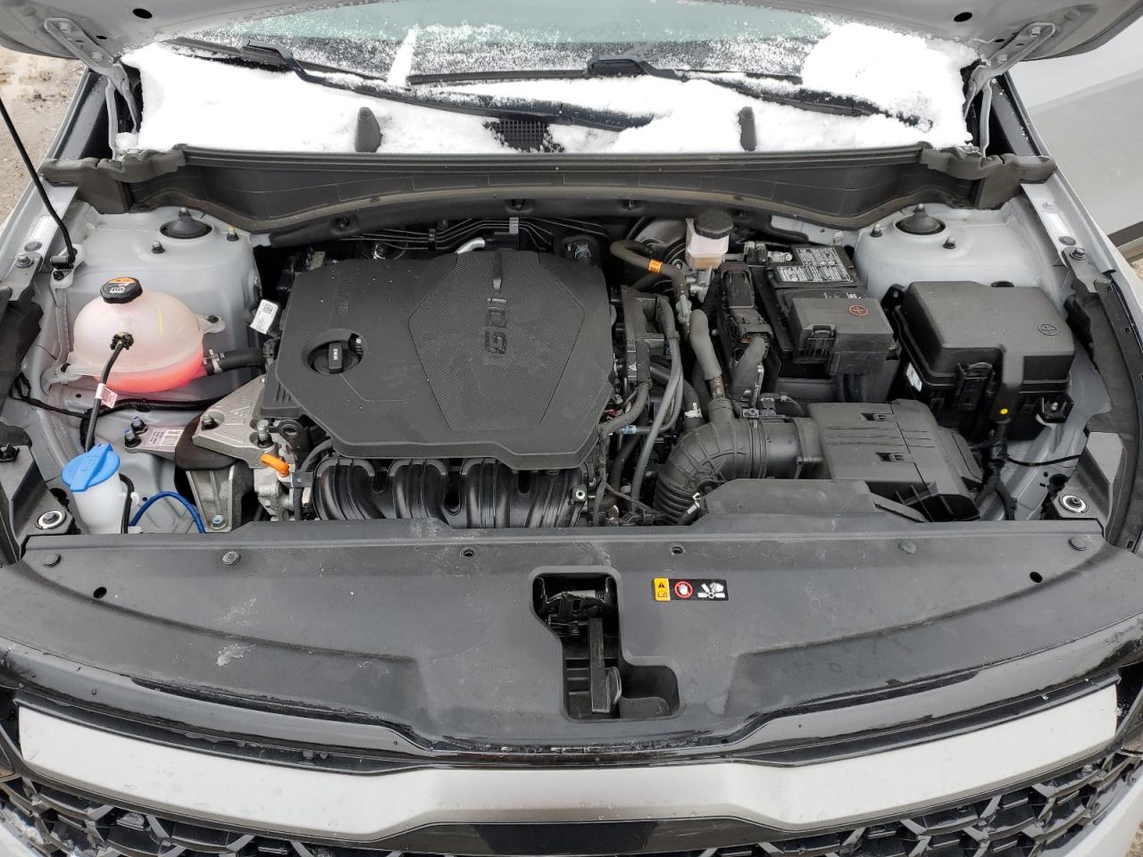 2023 KIA SPORTAGE X LINE VIN:5XYK6CAF4PG015844