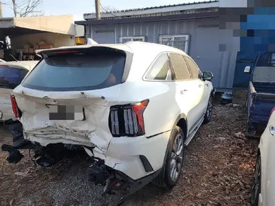 2020 Kia Sorento KNAPG81BBLA569568 VIN:KNAPG81BBLA569568