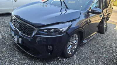 2019 Kia Sorento KNAPS81ABLA591712 VIN:KNAPS81ABLA591712