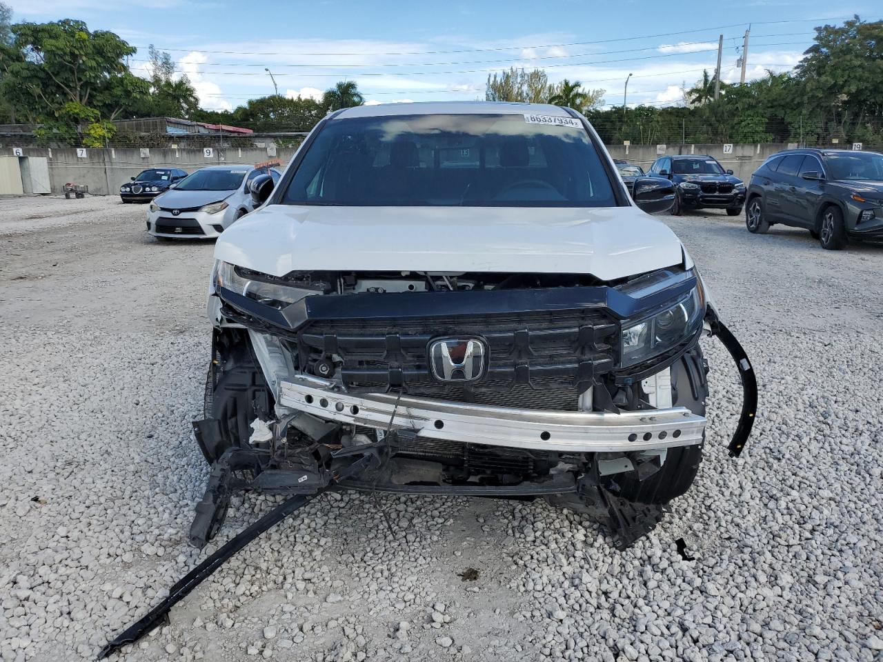 2024 HONDA RIDGELINE BLACK EDITION VIN:5FPYK3F86RB001669