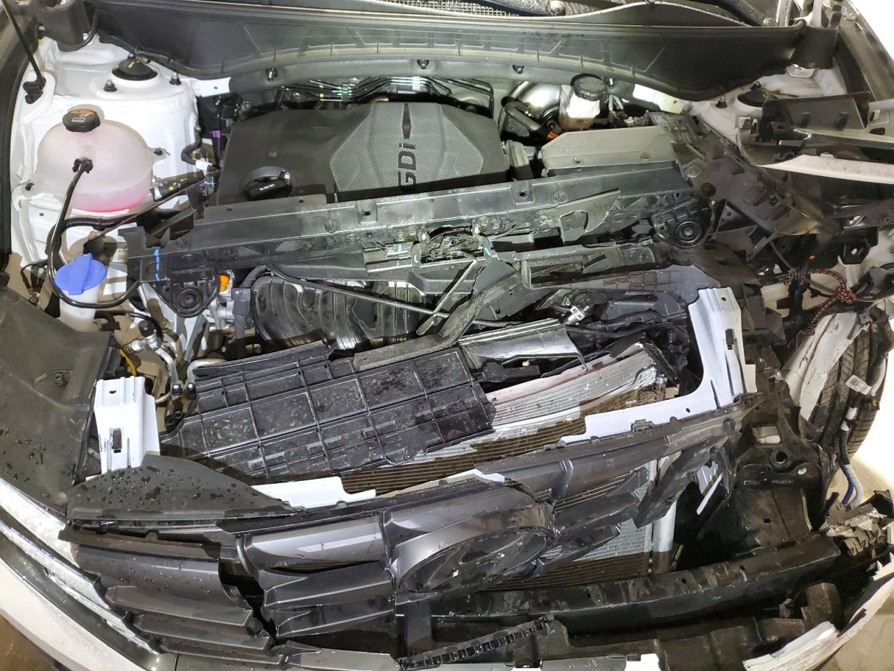 2024 HYUNDAI TUCSON SEL VIN:5NMJB3DEXRH391564