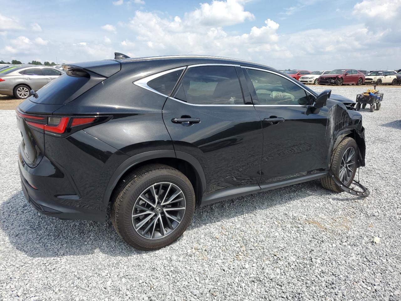 2022 LEXUS NX 250 VIN:JTJADCAZ3N5005062