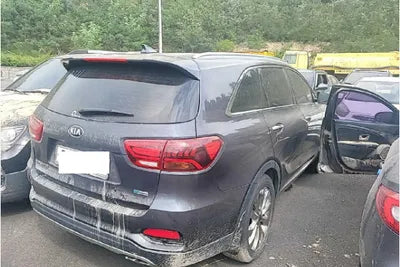 2019 Kia Sorento KNAPS81BBKA499609 VIN:KNAPS81BBKA499609