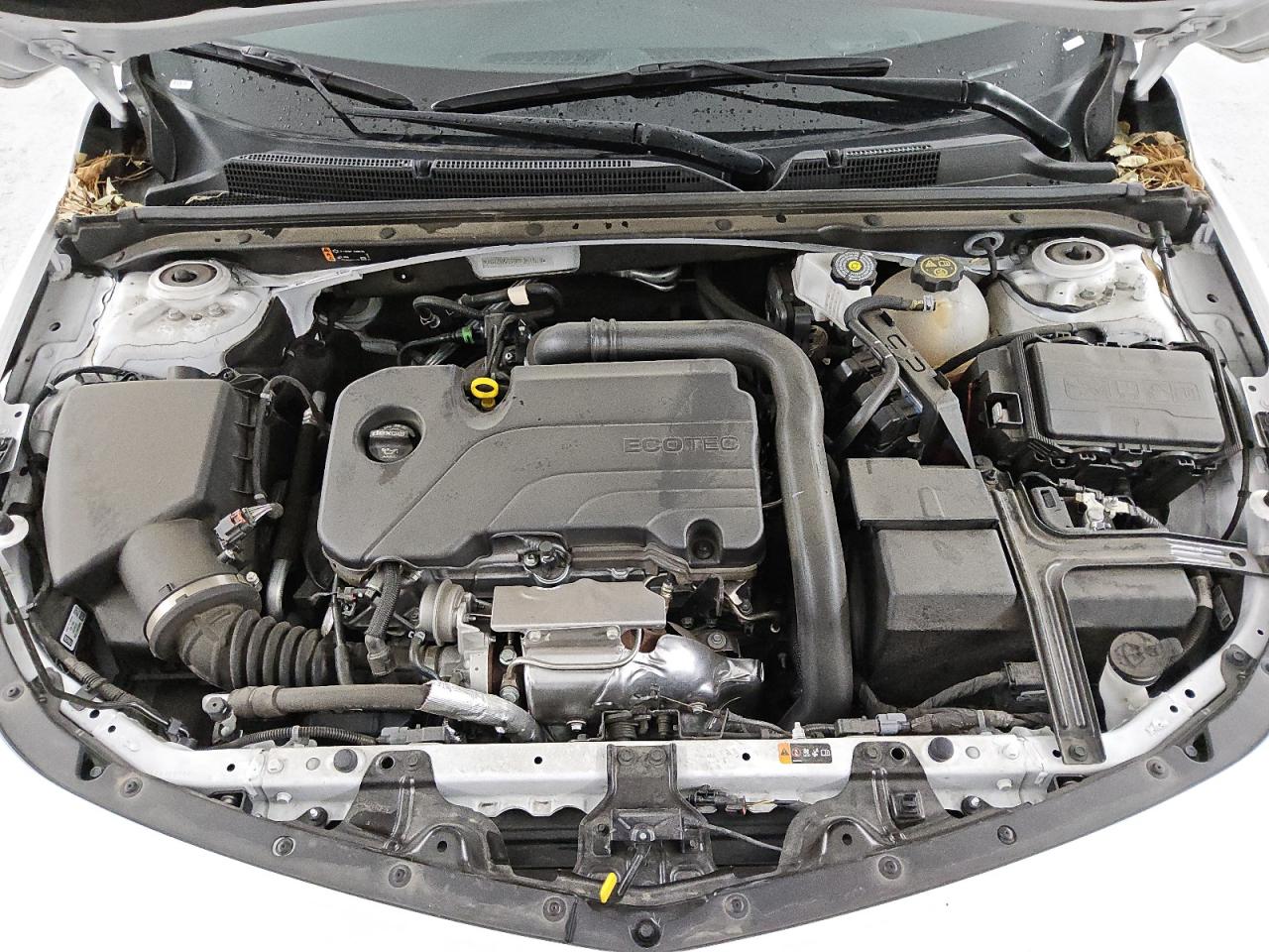 2023 CHEVROLET MALIBU LT VIN:1G1ZD5ST0PF251519