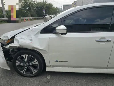 2019 Nissan Leaf VIN:
