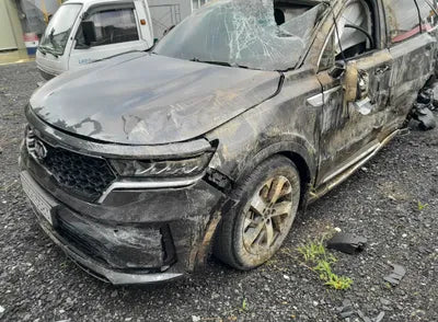 2021 Kia Sorento KNARH81BGMA047399 VIN:KNARH81BGMA047399