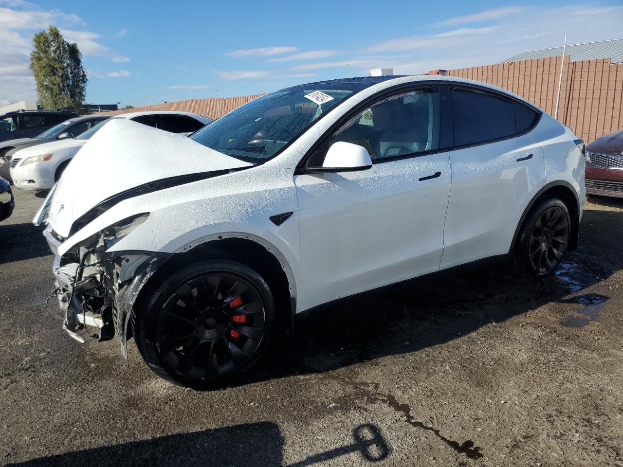 2023 TESLA MODEL Y  VIN:7SAYGDEE5PA118390