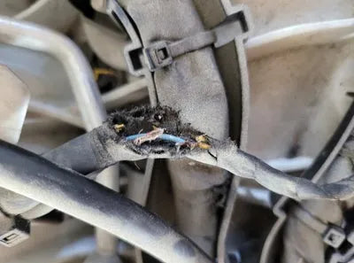 2018 Mercedes-Benz CLS 400 VIN: