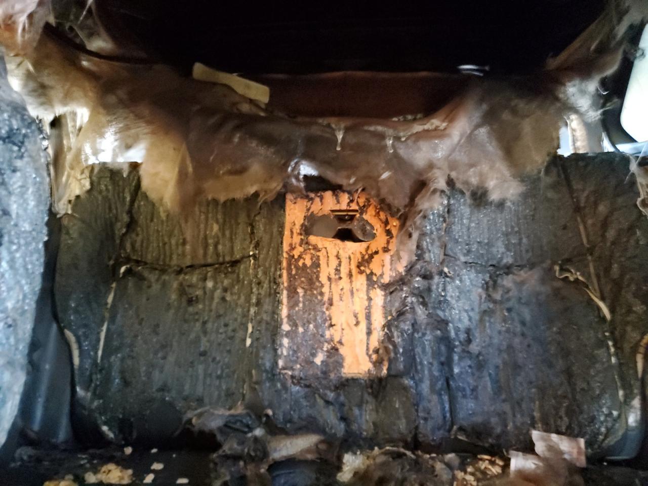 2023 TOYOTA RAV4 LE VIN:2T3K1RFV9PW297613