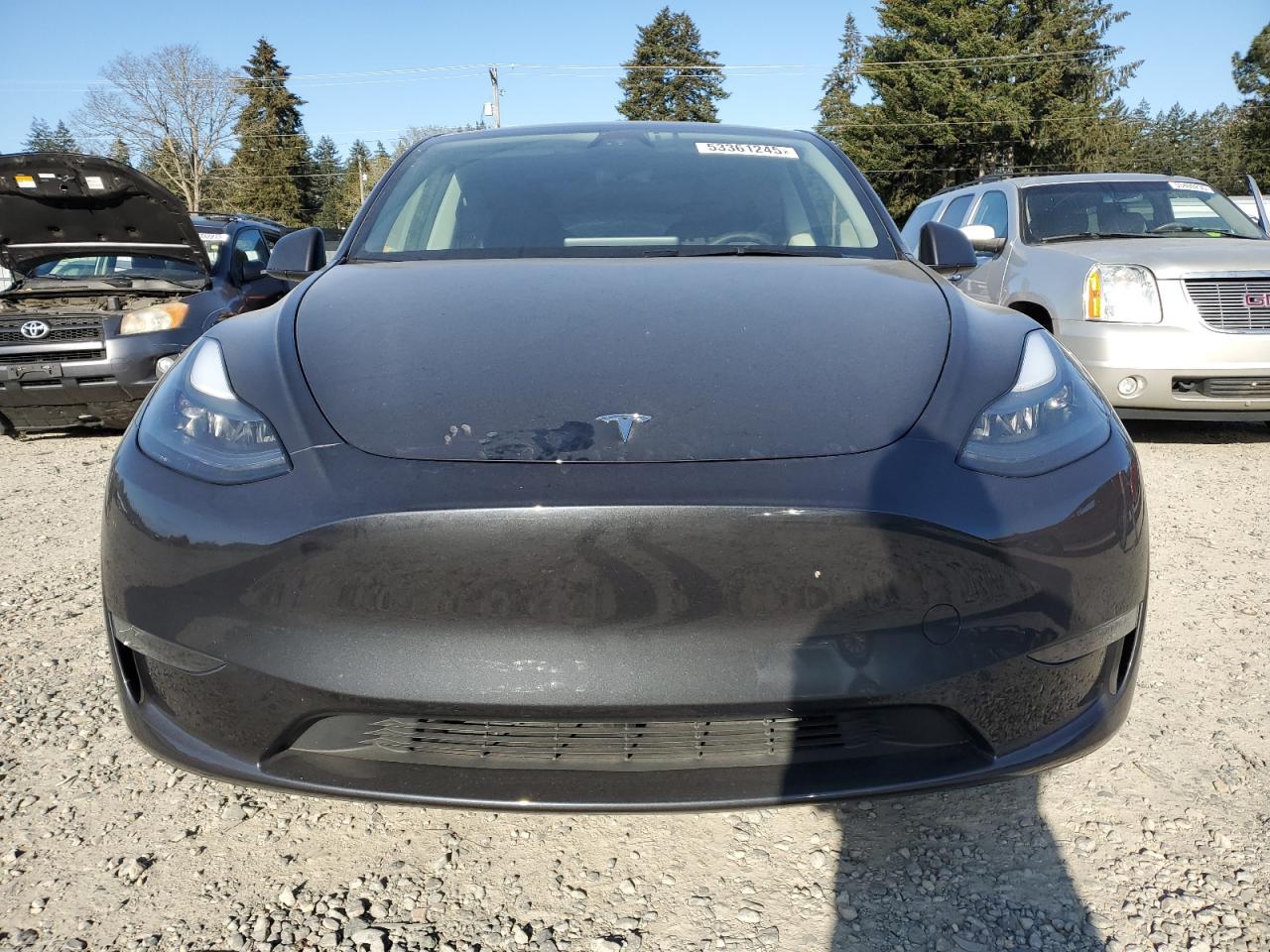 2024 TESLA MODEL Y  VIN:7SAYGDEE3RF008802