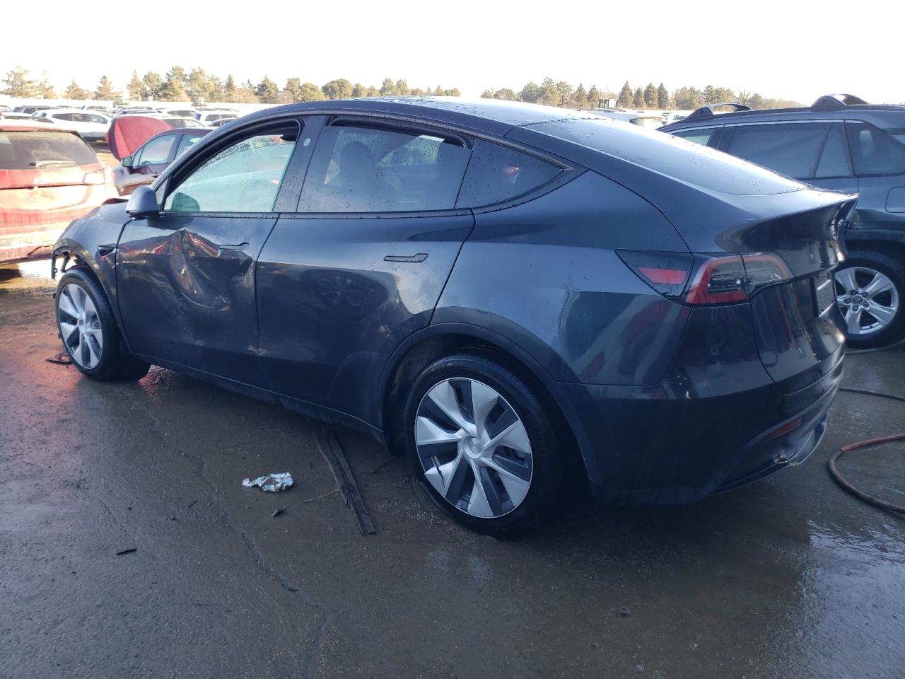 2024 TESLA MODEL Y  VIN:7SAYGDED3RF051964