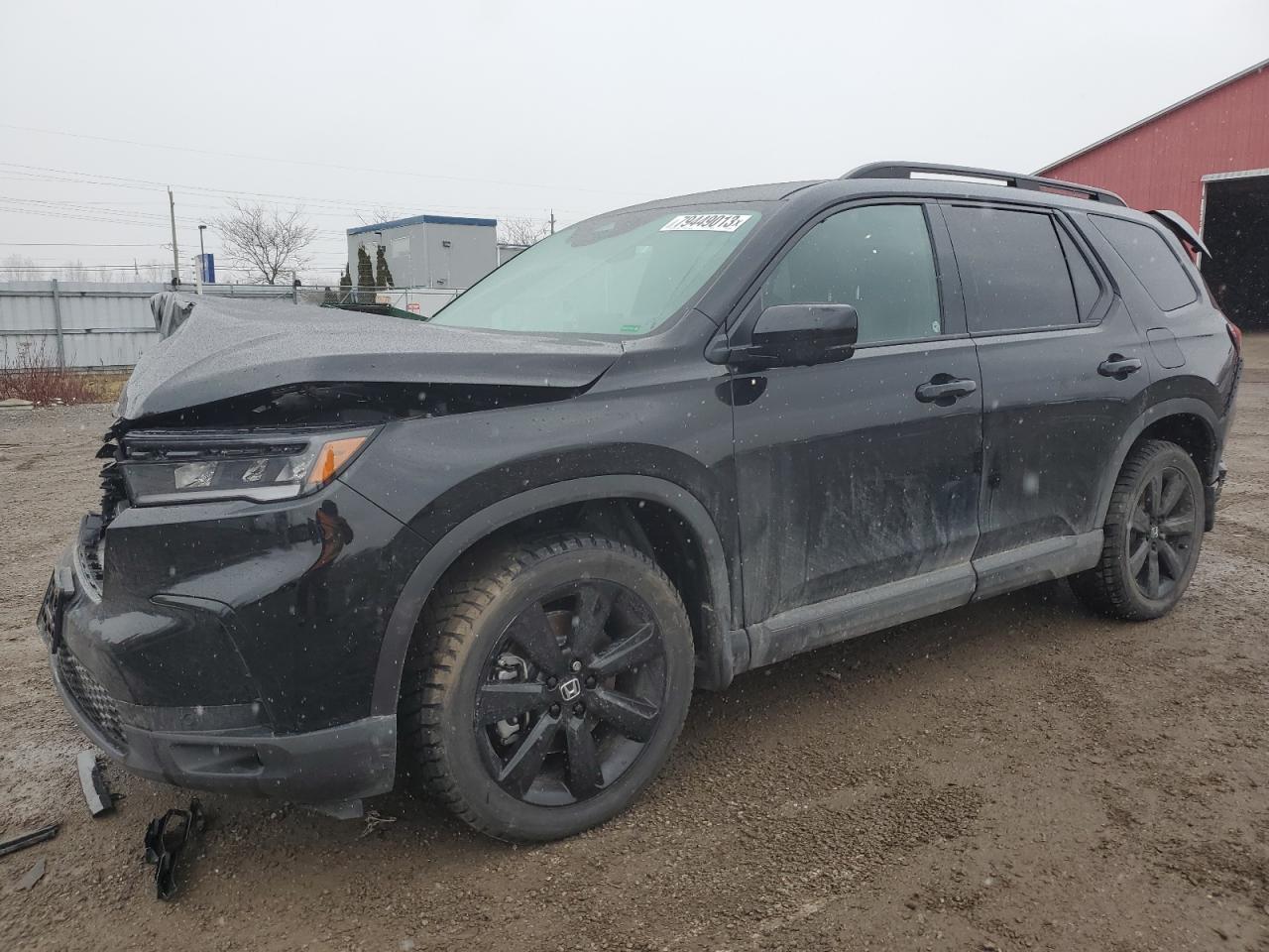 2023 HONDA PILOT ELITE VIN:5FNYG1H80PB503800